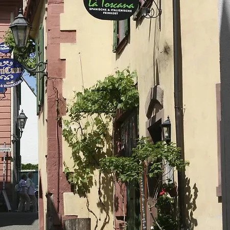 Ferienwohnung Am Schlosspark *